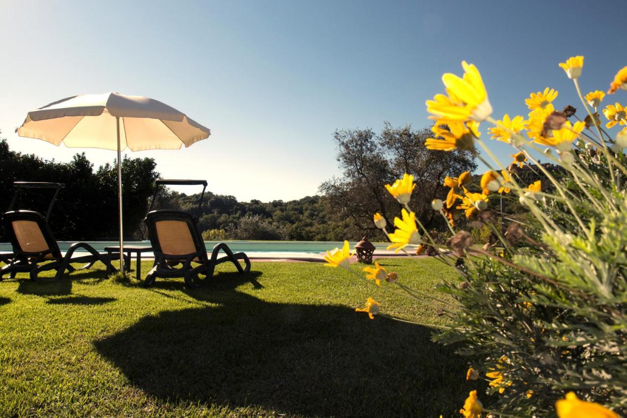 Poggio Sasseta Villa Montiano  Kültér fotó